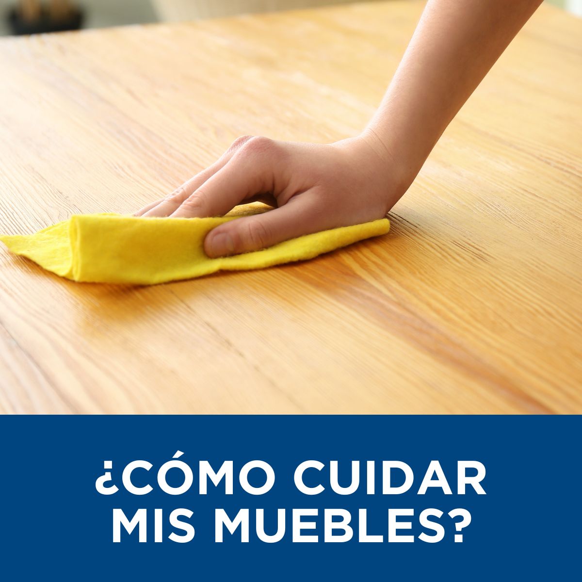 ¿Cómo cuidar mis muebles?