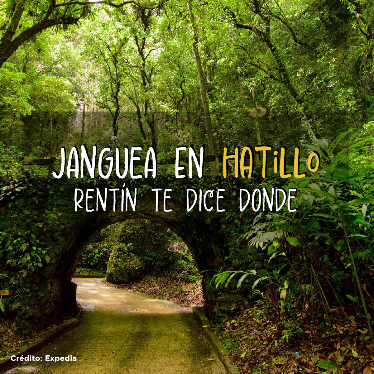 Janguea en Hatillo