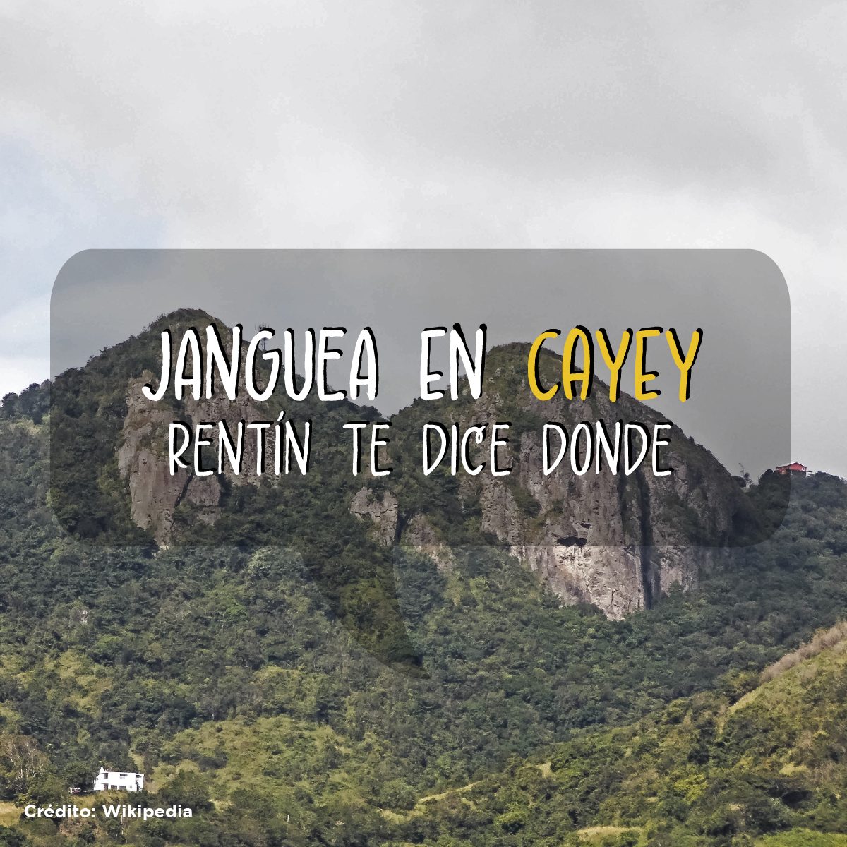 Janguea en Cayey