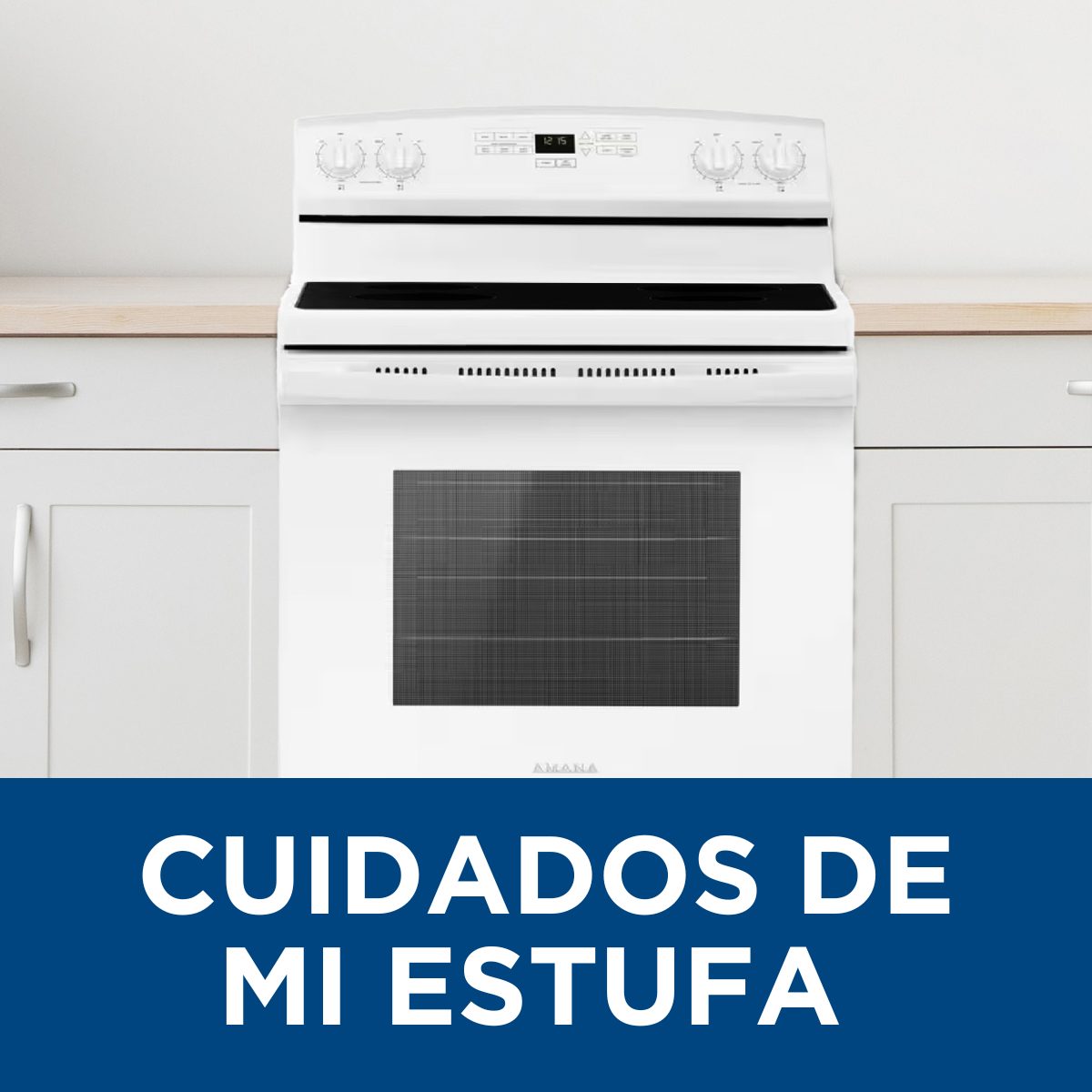 Cuidados de mi Estufa Cuidados de mi Estufa
