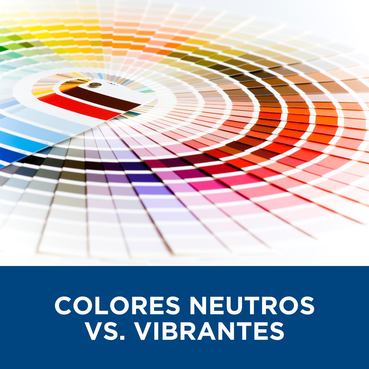 Colores neutros vs. vibrantes Colores neutros vs. vibrantes